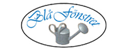 blå_fönster